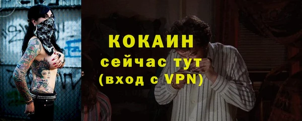 ПСИЛОЦИБИНОВЫЕ ГРИБЫ Верея