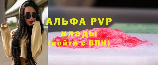 ГАЛЛЮЦИНОГЕННЫЕ ГРИБЫ Бородино