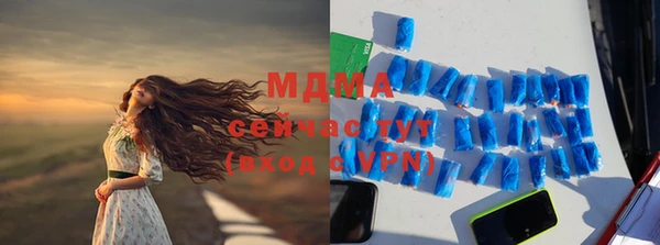 ГАЛЛЮЦИНОГЕННЫЕ ГРИБЫ Бородино