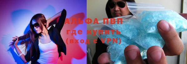 ГАЛЛЮЦИНОГЕННЫЕ ГРИБЫ Бородино