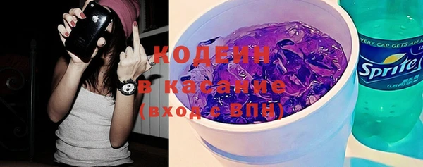 ГАЛЛЮЦИНОГЕННЫЕ ГРИБЫ Бородино